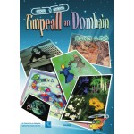 Timpeall an Domhain Rang 2